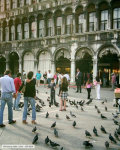 Náhled z galerie