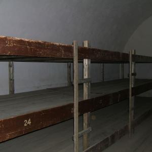 Holandští studenti na Gymnáziu Karla Čapka v Dobříši 