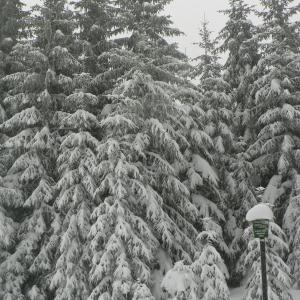 Hodnotící zpráva o expedici Tučňák - Za pramenem Vltavy