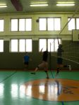Tříkrálový volejbalový turnaj 2006