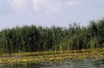 Přednáška - Delta Dunaje