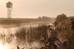 Přednáška - Delta Dunaje