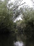 Přednáška - Delta Dunaje