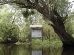 Přednáška - Delta Dunaje