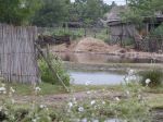 Přednáška - Delta Dunaje
