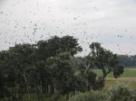 Přednáška - Delta Dunaje