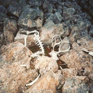 Biologie a historie v praxi