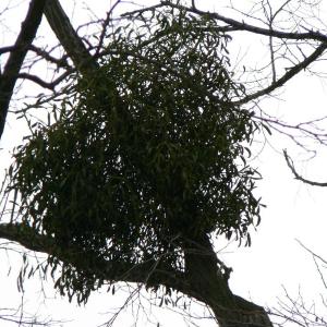 Pálava březen 2006