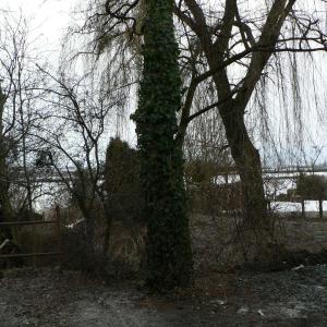 Pálava březen 2006