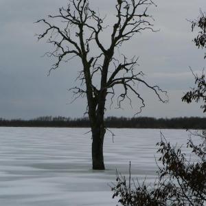 Pálava březen 2006