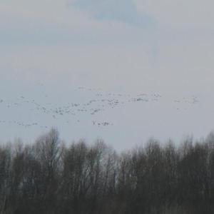 Pálava březen 2006