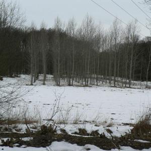 Pálava březen 2006
