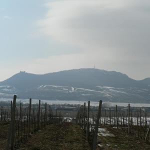 Pálava březen 2006