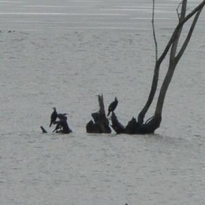 Pálava březen 2006