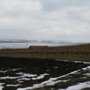 Pálava březen 2006
