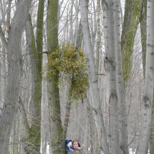 Pálava březen 2006