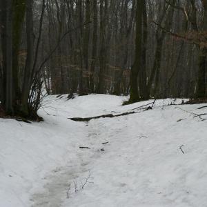 Pálava březen 2006