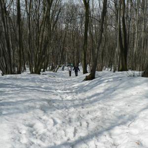 Pálava březen 2006