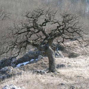 Pálava březen 2006