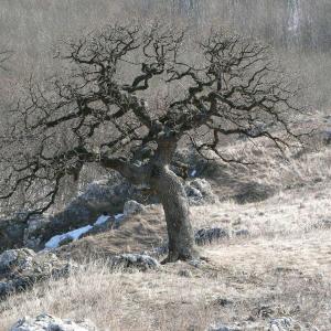 Pálava březen 2006