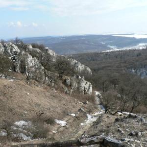 Pálava březen 2006