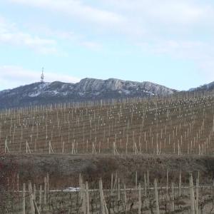 Pálava březen 2006