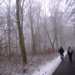 The Report about the Expedition in the Frame of the New Project „Tajga“