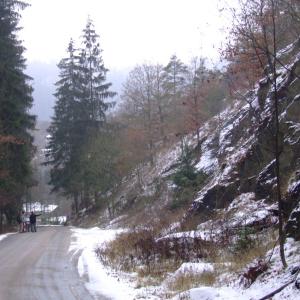The Report about the Expedition in the Frame of the New Project „Tajga“
