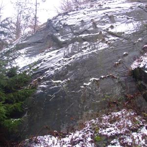 The Report about the Expedition in the Frame of the New Project „Tajga“