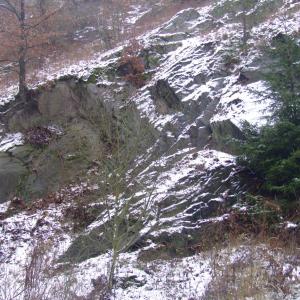 The Report about the Expedition in the Frame of the New Project „Tajga“
