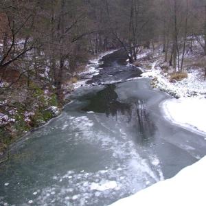 The Report about the Expedition in the Frame of the New Project „Tajga“