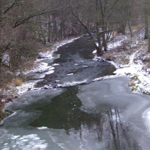 The Report about the Expedition in the Frame of the New Project „Tajga“