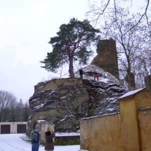 The Report about the Expedition in the Frame of the New Project „Tajga“