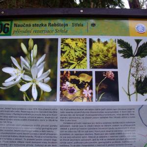 The Report about the Expedition in the Frame of the New Project „Tajga“