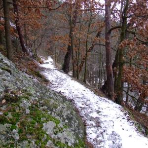 The Report about the Expedition in the Frame of the New Project „Tajga“
