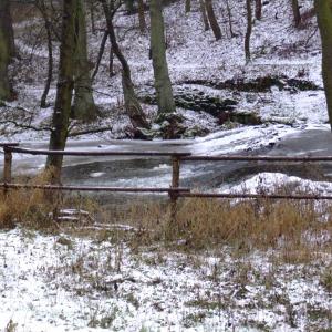 The Report about the Expedition in the Frame of the New Project „Tajga“