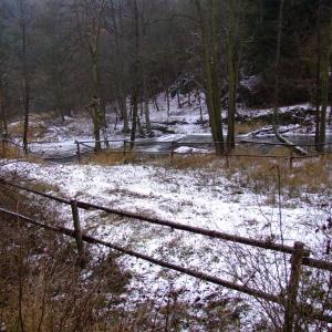 The Report about the Expedition in the Frame of the New Project „Tajga“