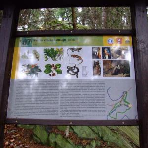 The Report about the Expedition in the Frame of the New Project „Tajga“