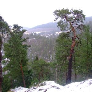 The Report about the Expedition in the Frame of the New Project „Tajga“