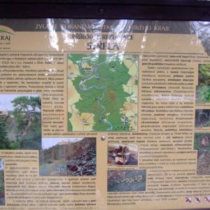 The Report about the Expedition in the Frame of the New Project „Tajga“