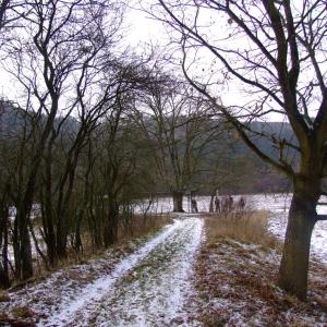 The Report about the Expedition in the Frame of the New Project „Tajga“