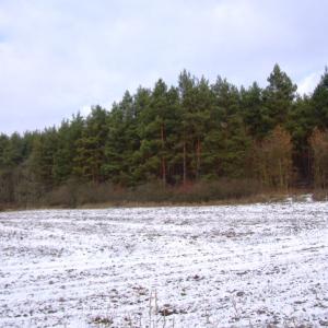 The Report about the Expedition in the Frame of the New Project „Tajga“