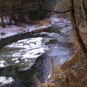 The Report about the Expedition in the Frame of the New Project „Tajga“