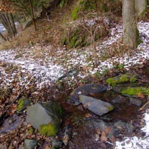 The Report about the Expedition in the Frame of the New Project „Tajga“