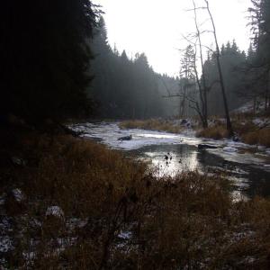 The Report about the Expedition in the Frame of the New Project „Tajga“
