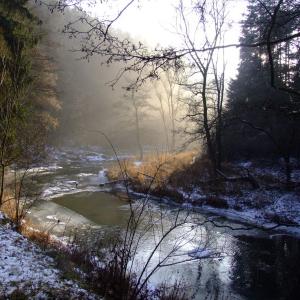 The Report about the Expedition in the Frame of the New Project „Tajga“
