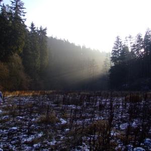 The Report about the Expedition in the Frame of the New Project „Tajga“