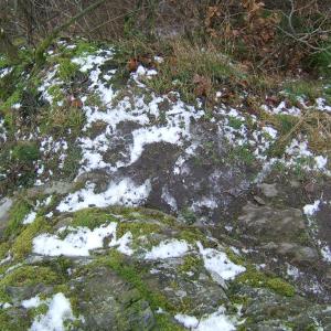 The Report about the Expedition in the Frame of the New Project „Tajga“