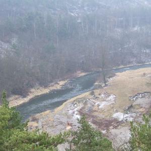 The Report about the Expedition in the Frame of the New Project „Tajga“