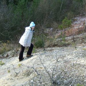 Hodnotící zpráva o expedici Bahňáci